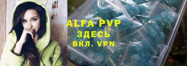 индика Балабаново