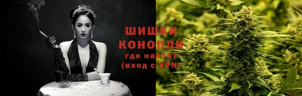 индика Балабаново
