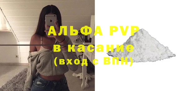 индика Балабаново