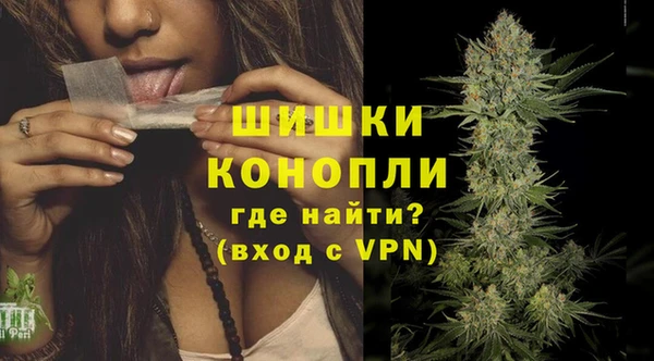 индика Балабаново