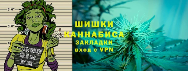 индика Балабаново