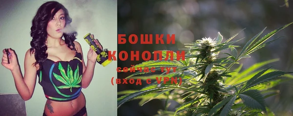 индика Балабаново
