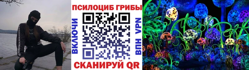 сколько стоит Купино Псилоцибиновые грибы Magic Shrooms